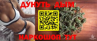 стафф Новодвинск