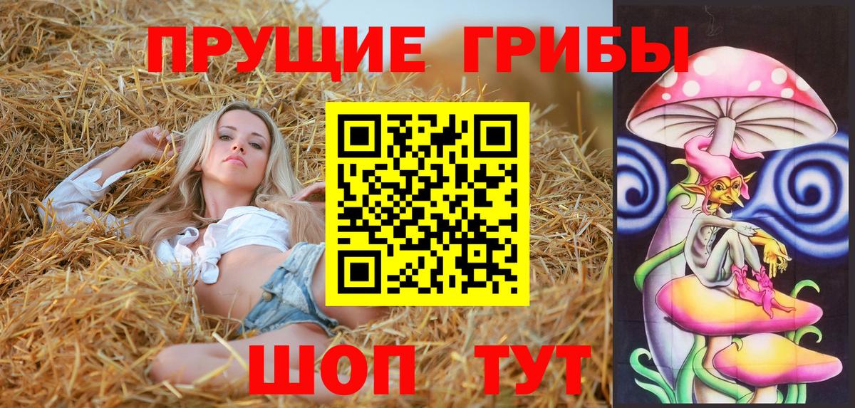 Галлюциногенные грибы GOLDEN TEACHER  Вход с VPN  Сегежа 